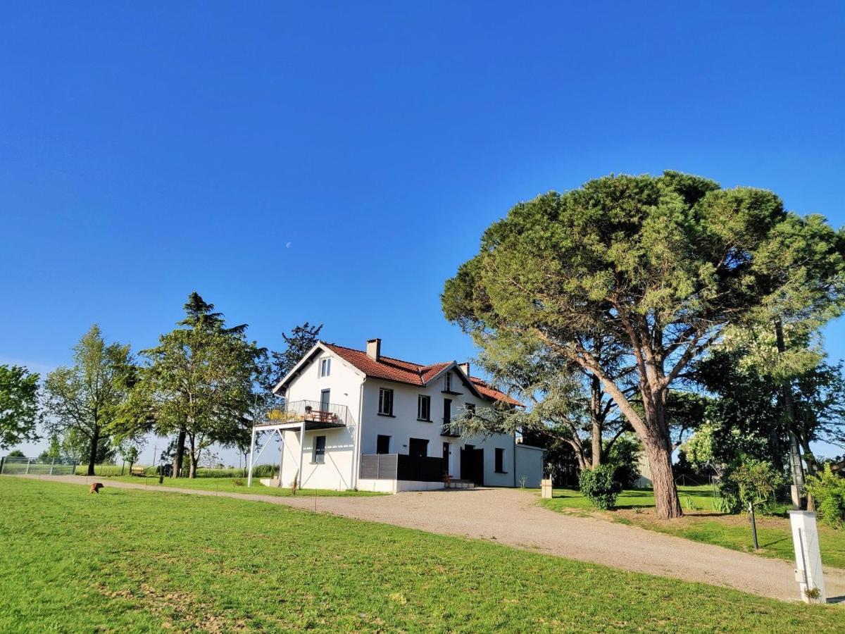 Le Cottage Nature Primeur Sauna Gaillac Entre Albi-Toulouse & Les Cottages Du Tarn Brens  Εξωτερικό φωτογραφία